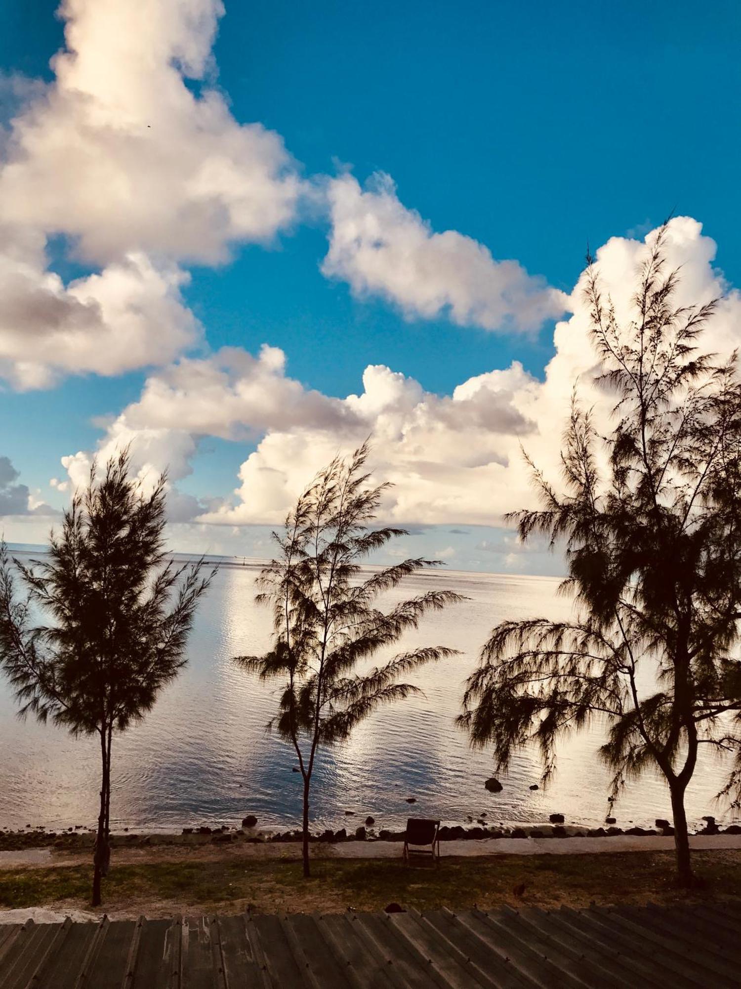 Bon Vivant Front De - Ile Rodrigues فندق
