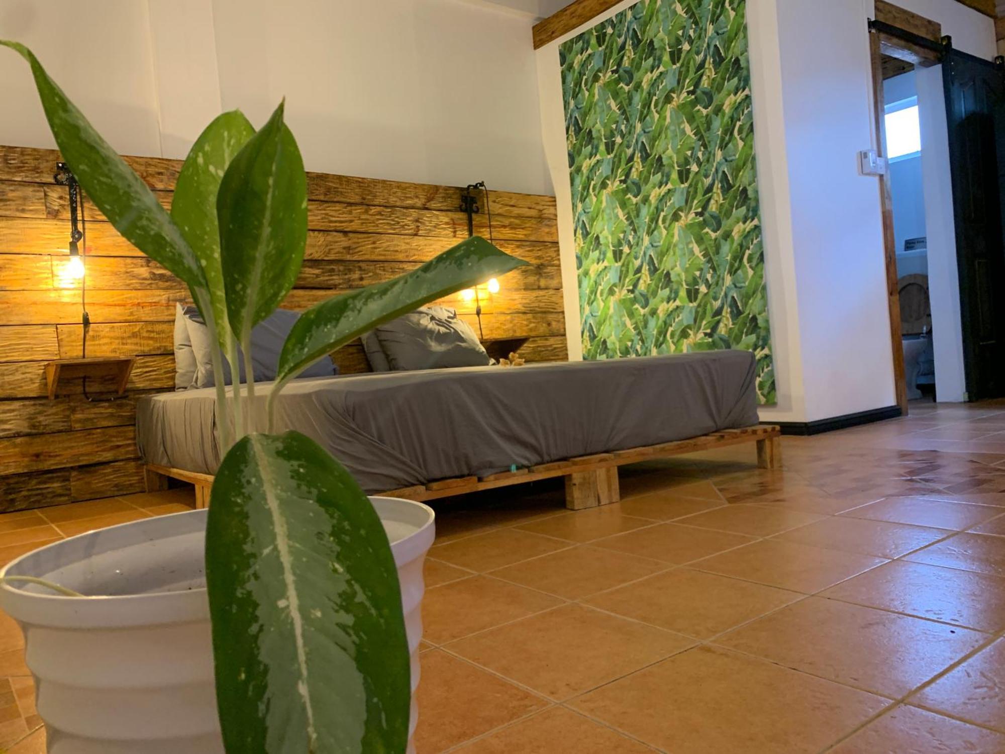فندق Bon Vivant Front De - Ile Rodrigues